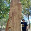 Foto Galeri